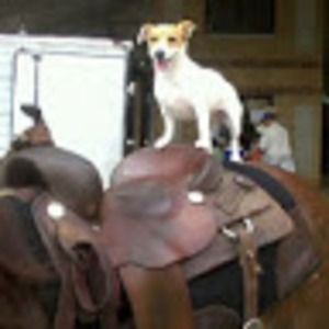 Meet your Posher, Roxanne